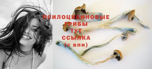 стаф Балабаново